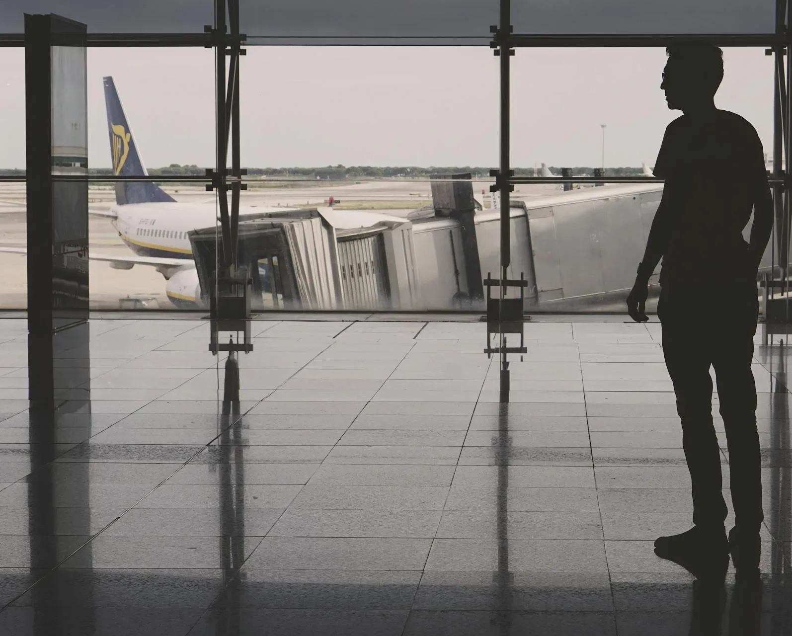 pexels-anton-porsche-37909-1002175